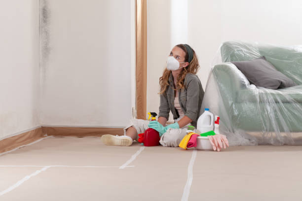 Reliable Mold Remediation contractor in Dearborn Heights, MI by 24 Hour Mold Removal